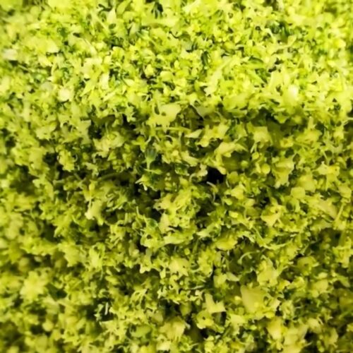 Receta Arroz de Brocoli
